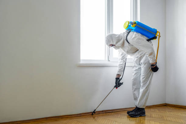 Insect Control in Marshfield, WI