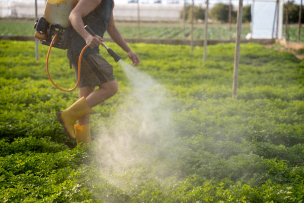 Best Insect Control  in Marshfield, WI