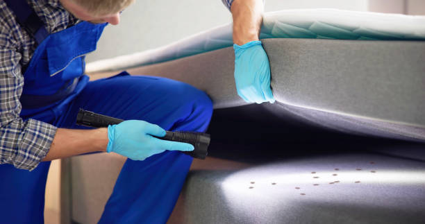 Best Residential Pest Control  in Marshfield, WI
