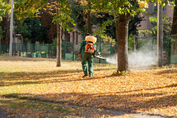 Best Cockroach Control Services  in Marshfield, WI