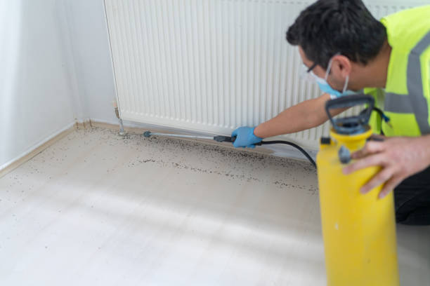 Best Pest Control Near Me  in Marshfield, WI
